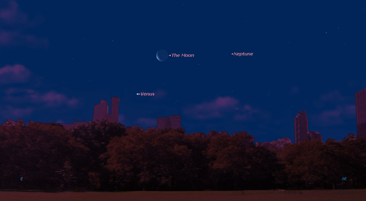 Venus and the Moon Shine Together at Dawn This Week: Where to Look